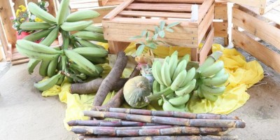 Imagem em Romaria à Santo Antônio em Nossa Senhora Livramento.