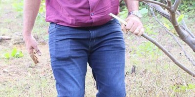 Imagem em Romaria à Santo Antônio em Nossa Senhora Livramento.