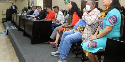 Imagem em Audiência Pública PLC 17/2023 Conselho Estadual de Educação