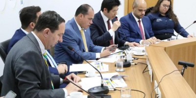 Imagem em Instalação Câmara Setorial Temática das Relações MT e China.