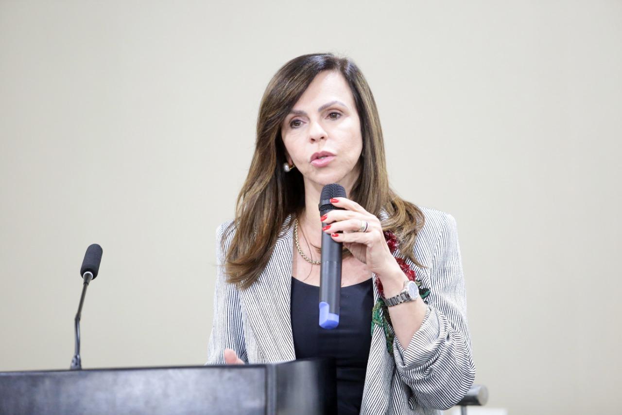 AL debate novo Fundeb e os impactos da reforma tributária na educação AL debate novo Fundeb e os impactos da reforma tributária na educação