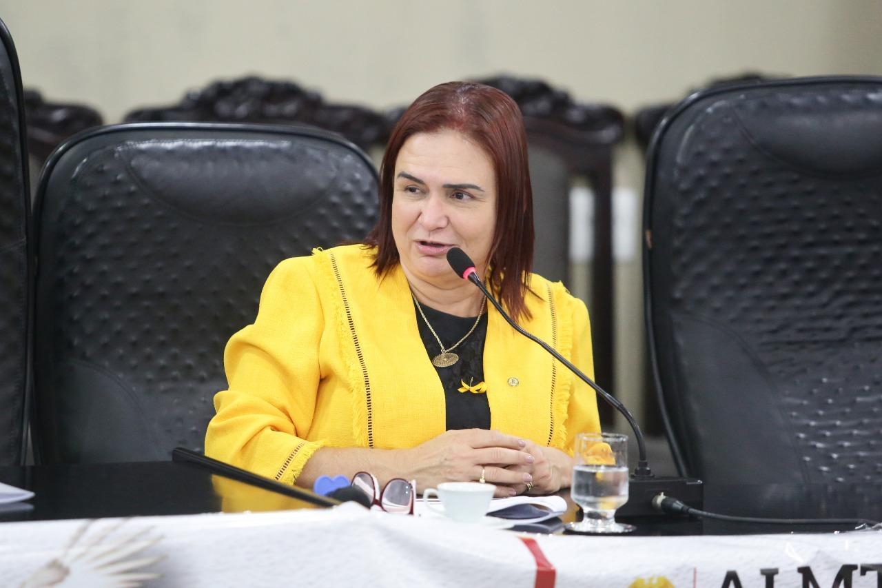 AL debate novo Fundeb e os impactos da reforma tributária na educação AL debate novo Fundeb e os impactos da reforma tributária na educação
