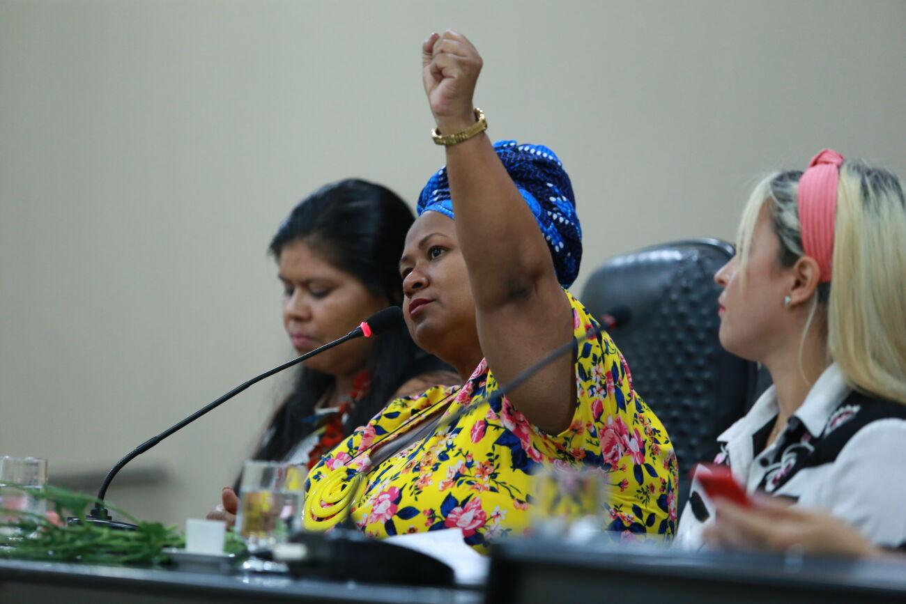 Audiência Pública debate “as questões da mulher na sociedade atual” Audiência Pública debate “as questões da mulher na sociedade atual”