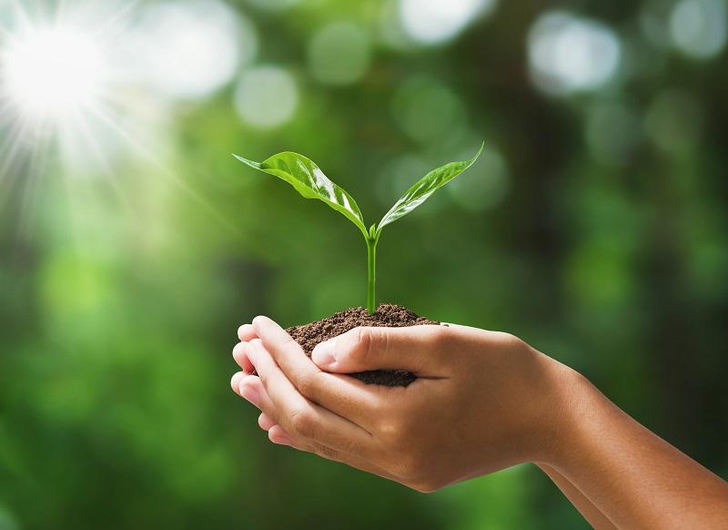 Hidrogênio verde: Barranco propõe nova política energética para o Estado