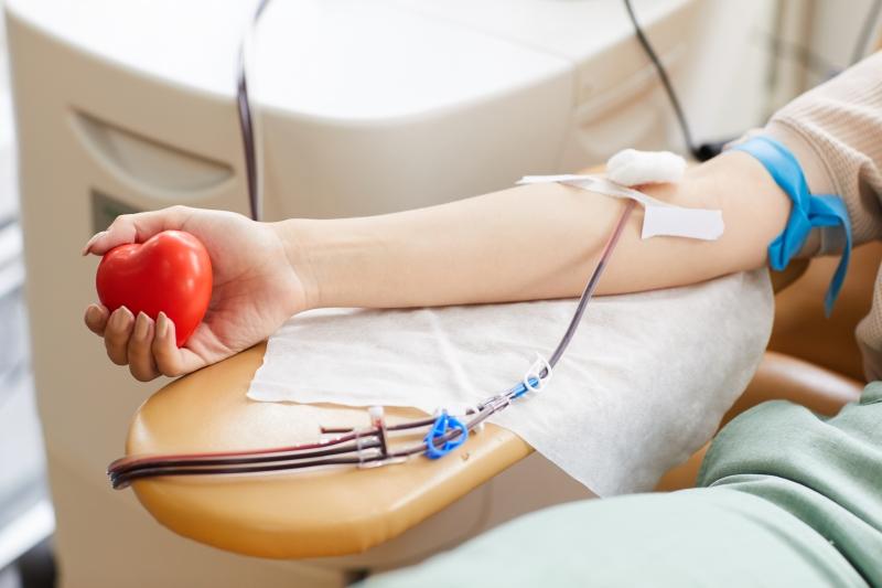 Deputados aprovam projeto que incentiva a doação de sangue em Mato Grosso