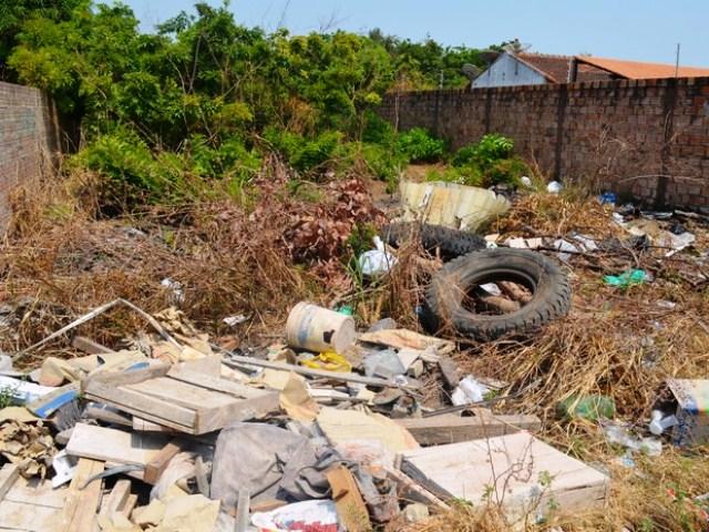 Projeto institui multa para proprietários de terrenos abandonados
